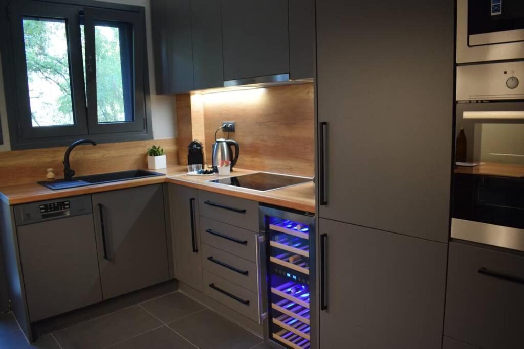 אתונה Ockto Luxurious Business Travel Apartment מראה חיצוני תמונה